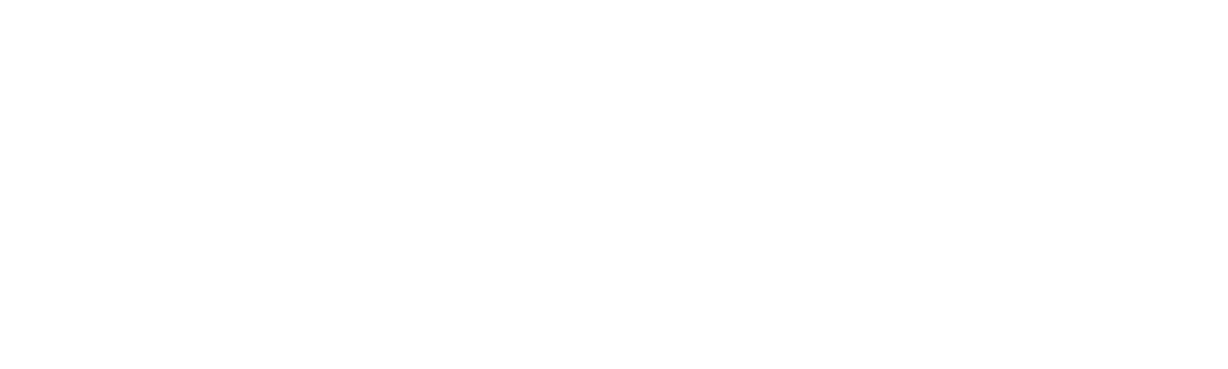 Logo Brand Transparent_white